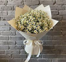 Букет цветов из:  Ромашки #REPLACE_PRED# Похвистнево